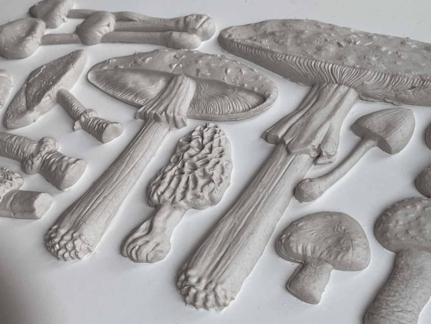 IOD Mould Toadstool