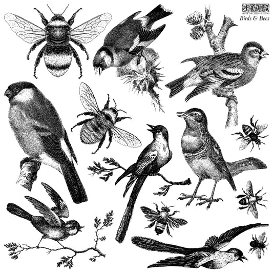IOD Stamp 12x12 Birds & Bees