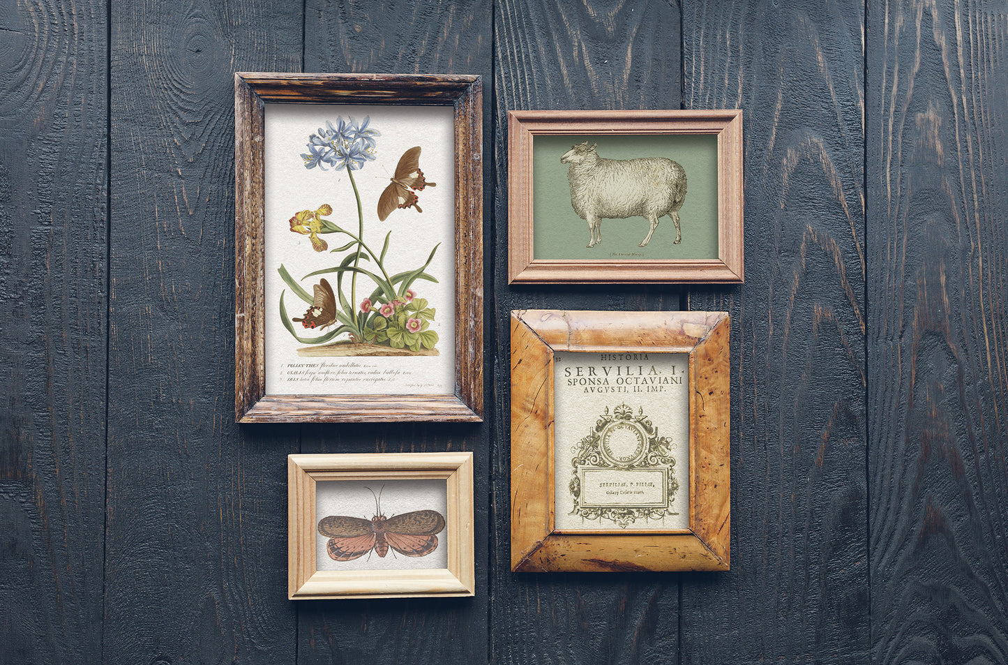 IOD Transfer Brocante 12x16