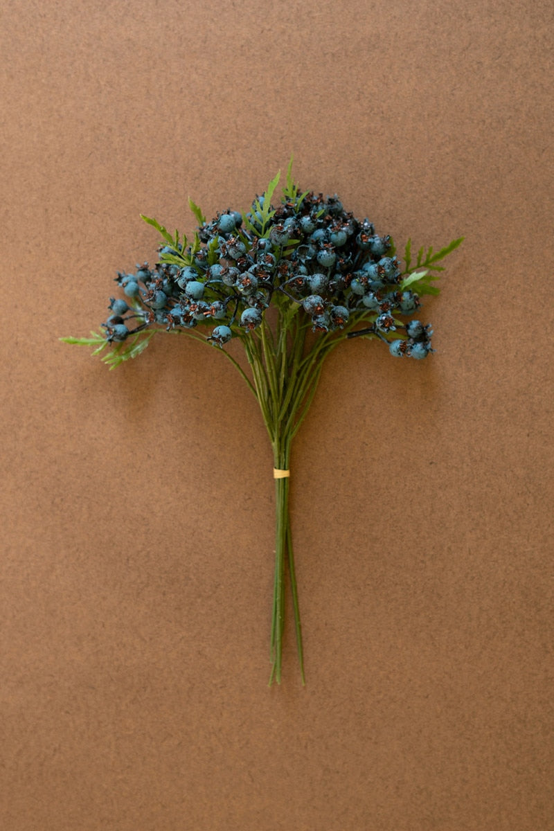 Blueberry Bundle