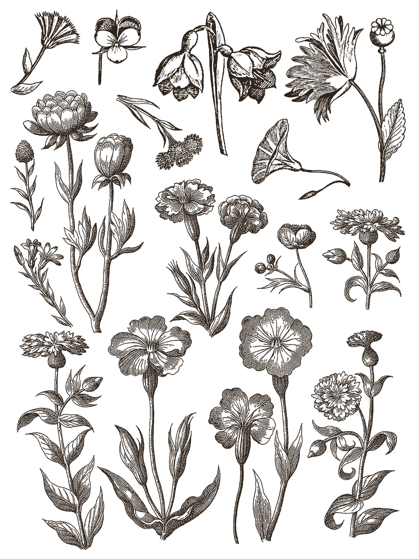 IOD Inlay Floriography