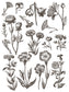 IOD Inlay Floriography