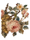 IOD Transfer Joie Des Roses 12x16