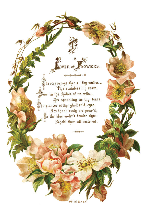IOD Transfer Lover of Flowers 8x12