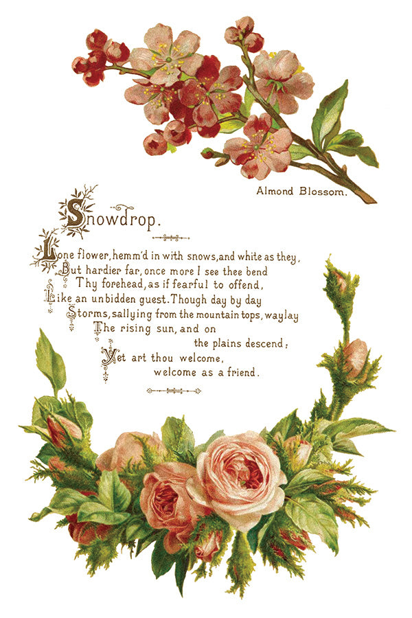 IOD Transfer Lover of Flowers 8x12