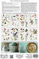 IOD Transfer Wilde Bloemen 8x12