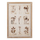 Wall Décor Wood Framed Glass w/Botanicals Print