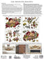 IOD Transfer Floral Anthology 12x16