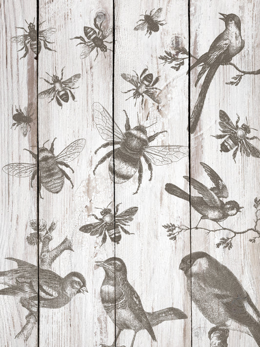 IOD Stamp 12x12 Birds & Bees