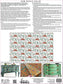 Paint Inlay Paradise