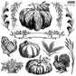 IOD Stamp 12x12 Autumn Blessings