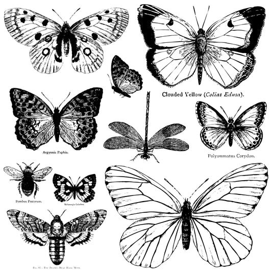 IOD Stamp 12x12 Butterflies