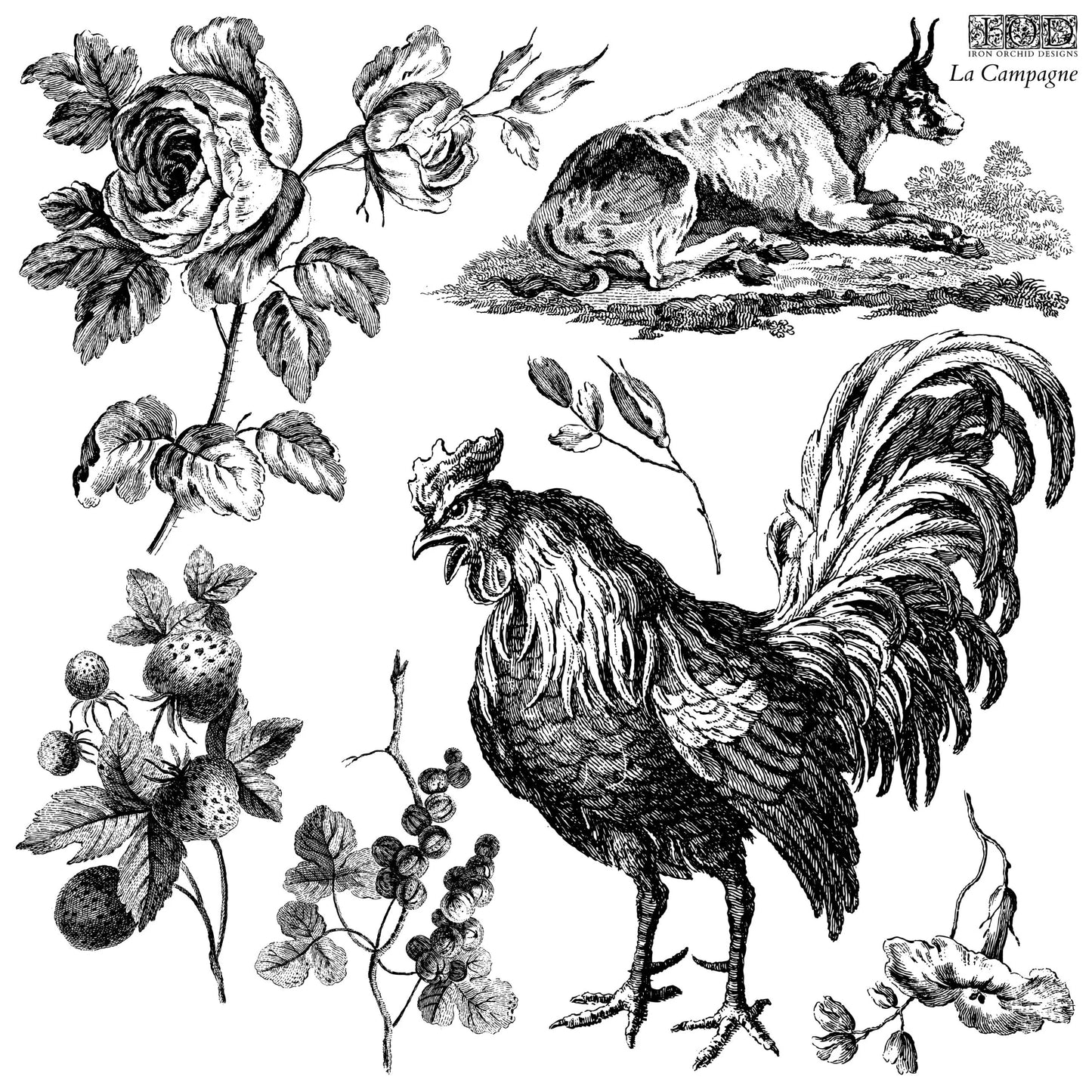 IOD Stamp 12x12 La Campagne