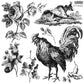 IOD Stamp 12x12 La Campagne