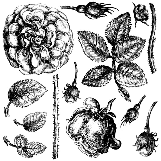 IOD Stamp 12x12 Lady Shallot