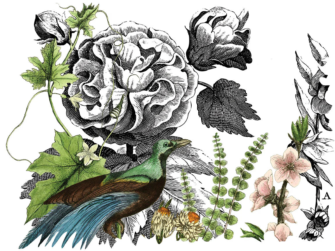 IOD Transfer Midnight Garden 12x16