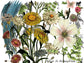 IOD Transfer Midnight Garden 12x16