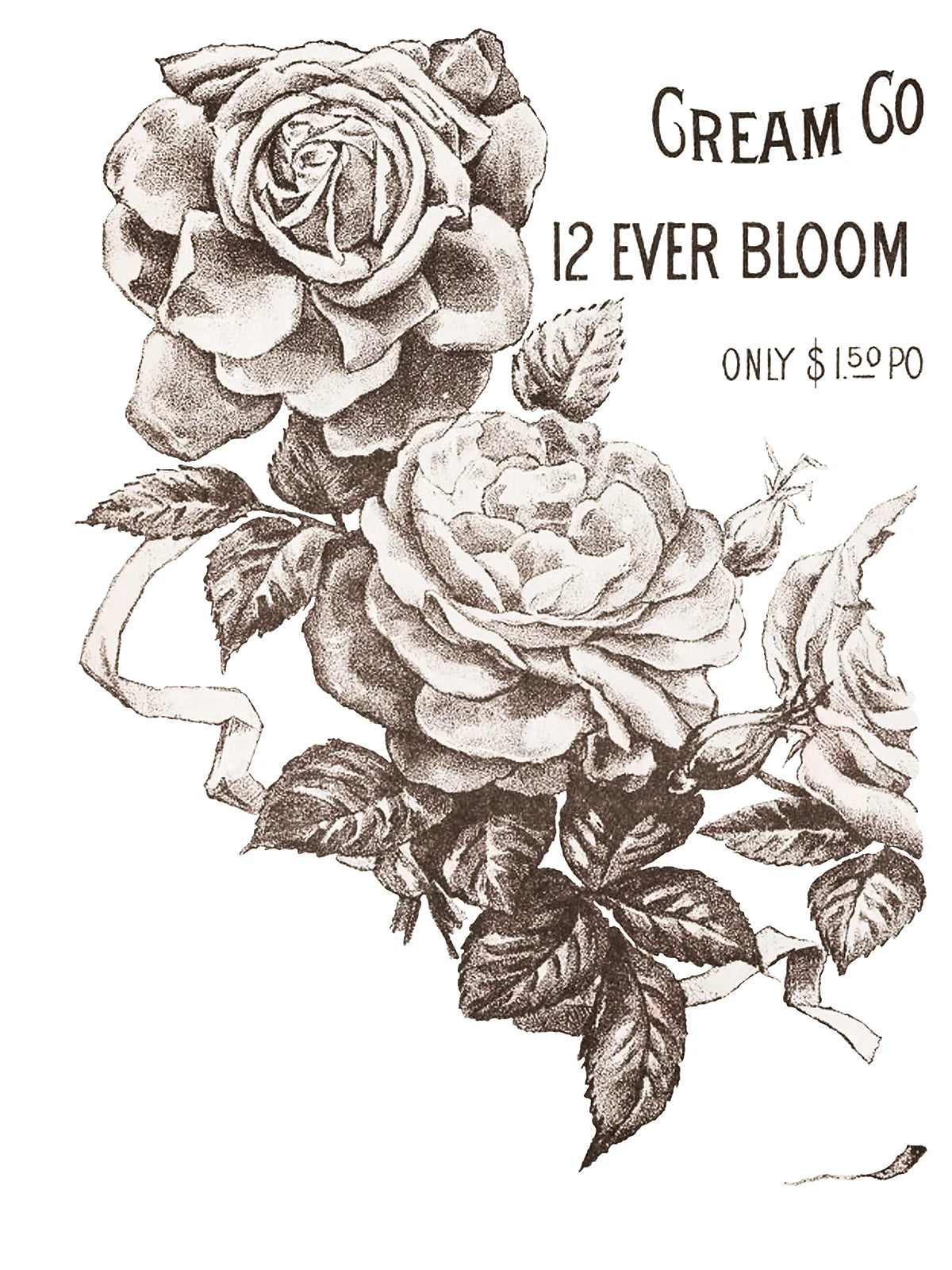 IOD Transfer May's Roses 12x16