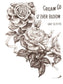 IOD Transfer May's Roses 12x16