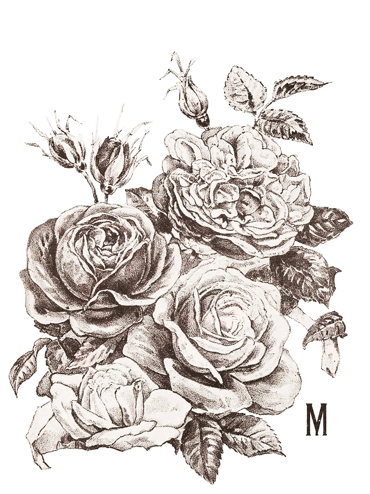 IOD Transfer May's Roses 12x16
