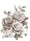 IOD Transfer May's Roses 12x16
