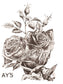 IOD Transfer May's Roses 12x16