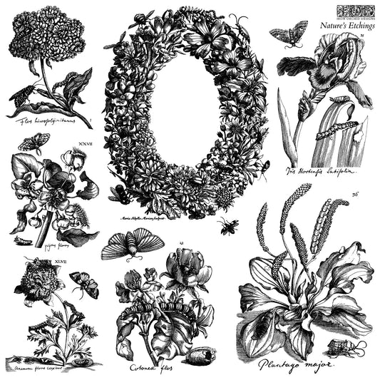 IOD Stamp 12x12 Nature's Etchings 2 Sheets