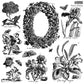 IOD Stamp 12x12 Nature's Etchings 2 Sheets