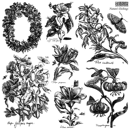 IOD Stamp 12x12 Nature's Etchings 2 Sheets