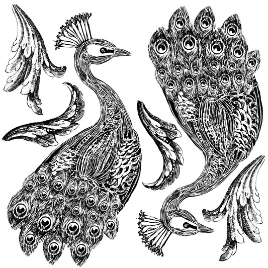 IOD Stamp 12x12 Pavo