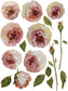 IOD Transfer Painterly Florals 12x16