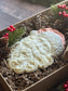 IOD Mould Saint Nick