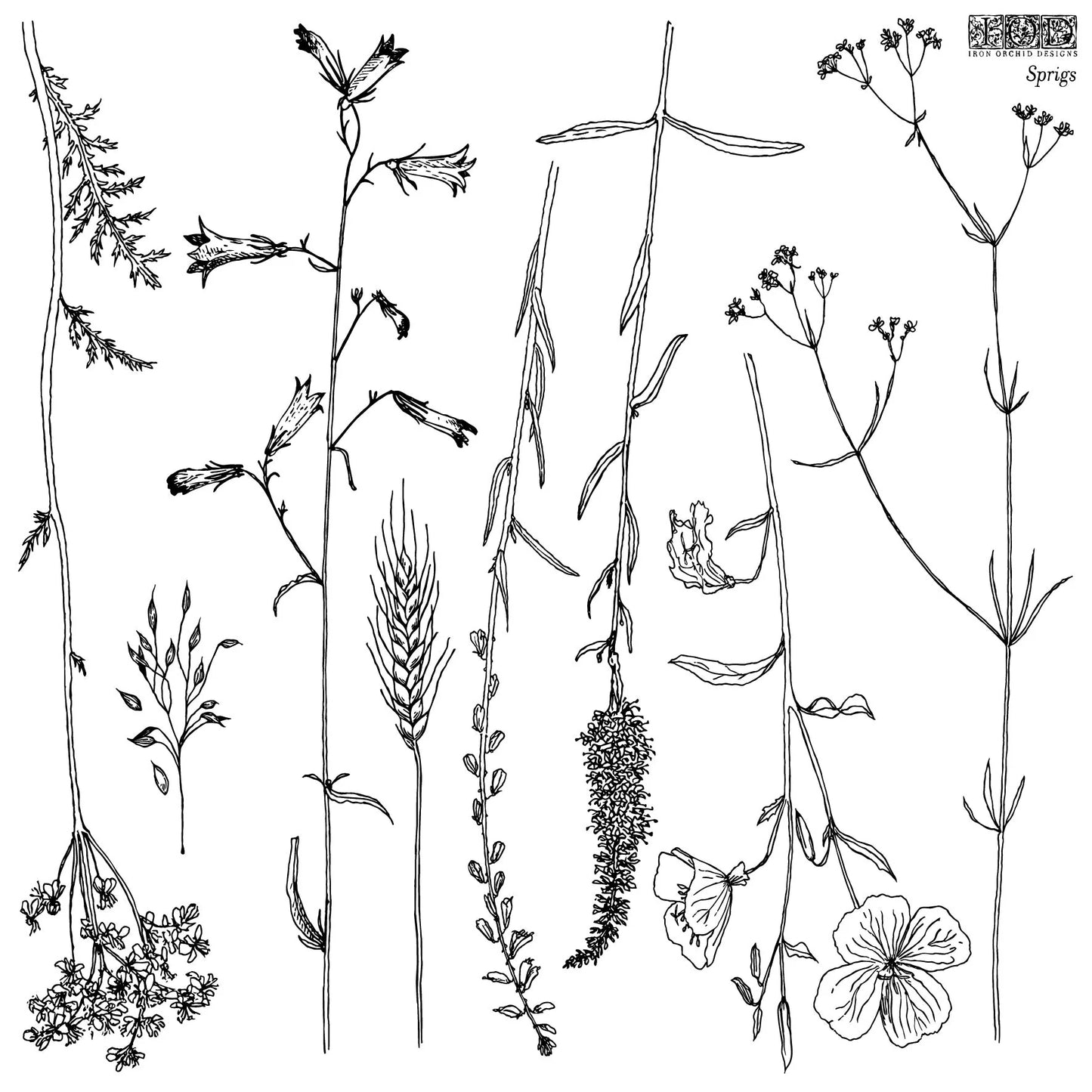 IOD Stamp 12x12 Sprigs