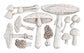 IOD Mould Toadstool