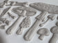 IOD Mould Toadstool